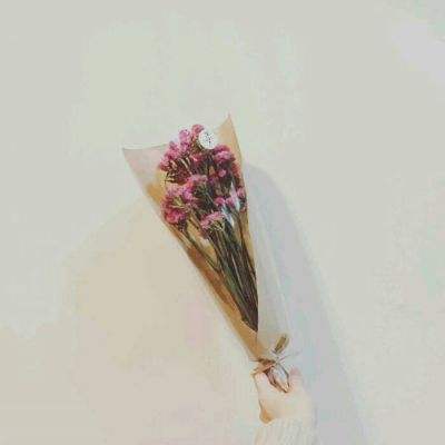 绝世唐门搜狗版本下载