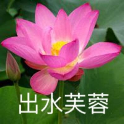 无双战车坦克射击下载